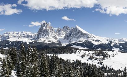 Veduta Invernale dell'Alpe di Siusi